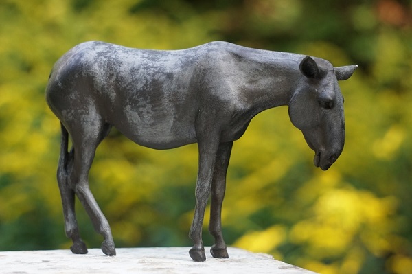 World-Weariness Donkey