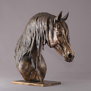 Arabian Stallion TAHSIN